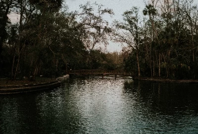 Road Trips from Okeechobee: Exploring the Hidden Gems of Central Florida